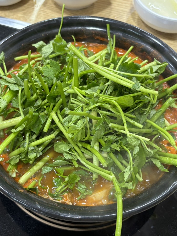  미나리 퍼주는 집이 있다? 오금동 등촌샤브칼국수 솔직 후기