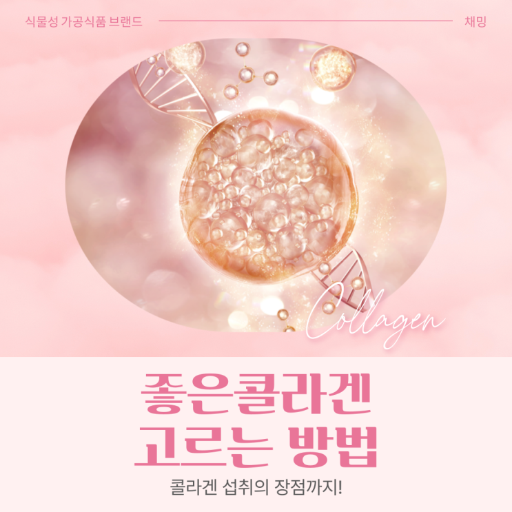  좋은콜라겐 고르는 방법과 콜라겐 섭취의 장점