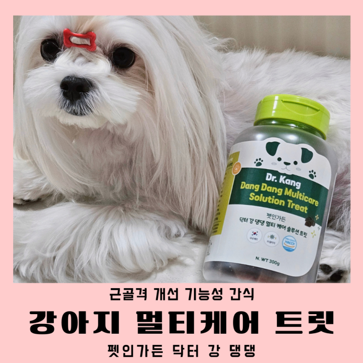  펫인가든 애견 간식 멀티케어 솔루션 트릿