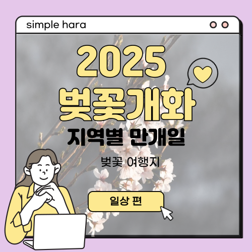  2025 전국 벚꽃 개화시기 만개시기 총정리!
