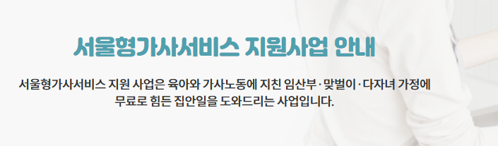 2025년 서울 임산부 혜택 서울시 가사 서비스 신청후기 2025년 서울 임산부 혜택 서울시 가사 서비스 신청후기
