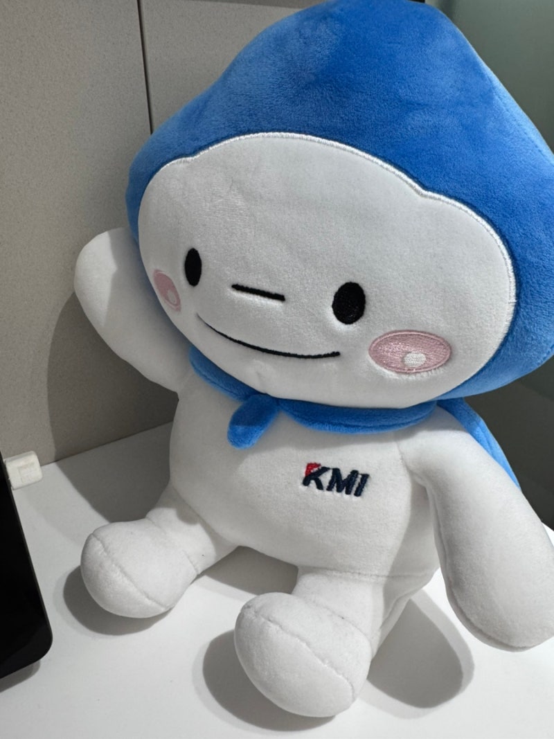 KMI 강남센터 채용검진 소요 시간, 후기