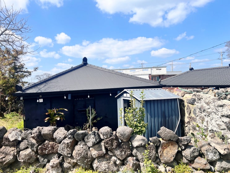  32주 태교여행 깨끗하고 좋았던 제주한옥펜션 애견동반 (+ 에스제이렌터카)