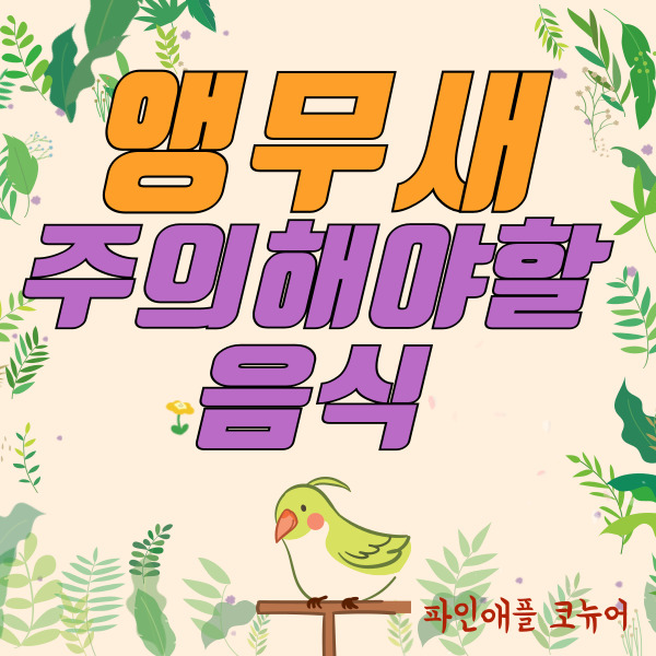  파인애플 코뉴어 앵무새 주의해야할 음식