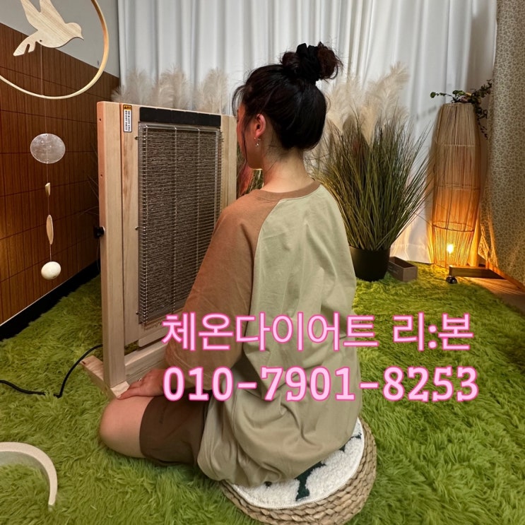  리본 식단도시락으로 아침먹으면서 다이어트!