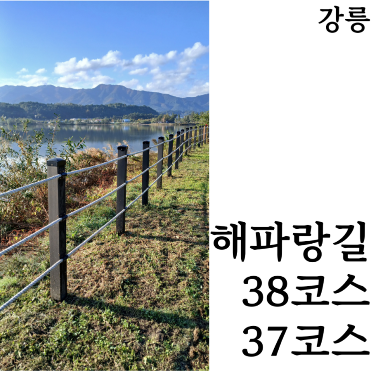  [해파랑길/7일차] 38코스 강릉시내 가볼만한 곳 37코스 주의사항 (강릉바우길 6,7구간)완주 후기