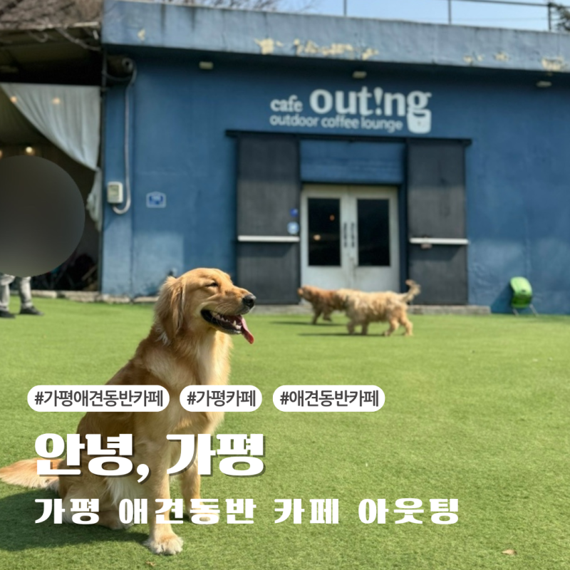 사진 2
