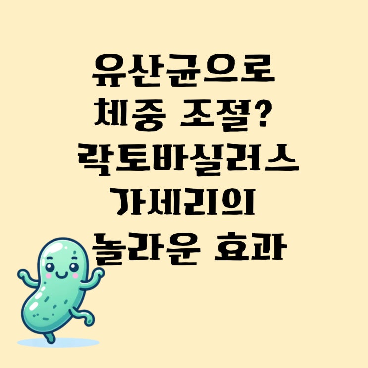  유산균으로 체중 조절? 락토바실러스 가세리의 놀라운 효과