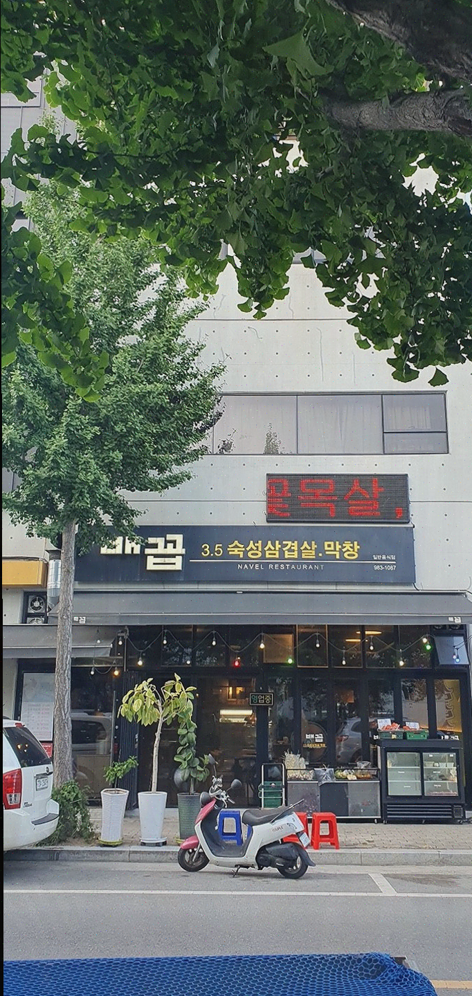  배꼽숙성삼겹살과막창, 방촌동 막창으로 특별한 회식