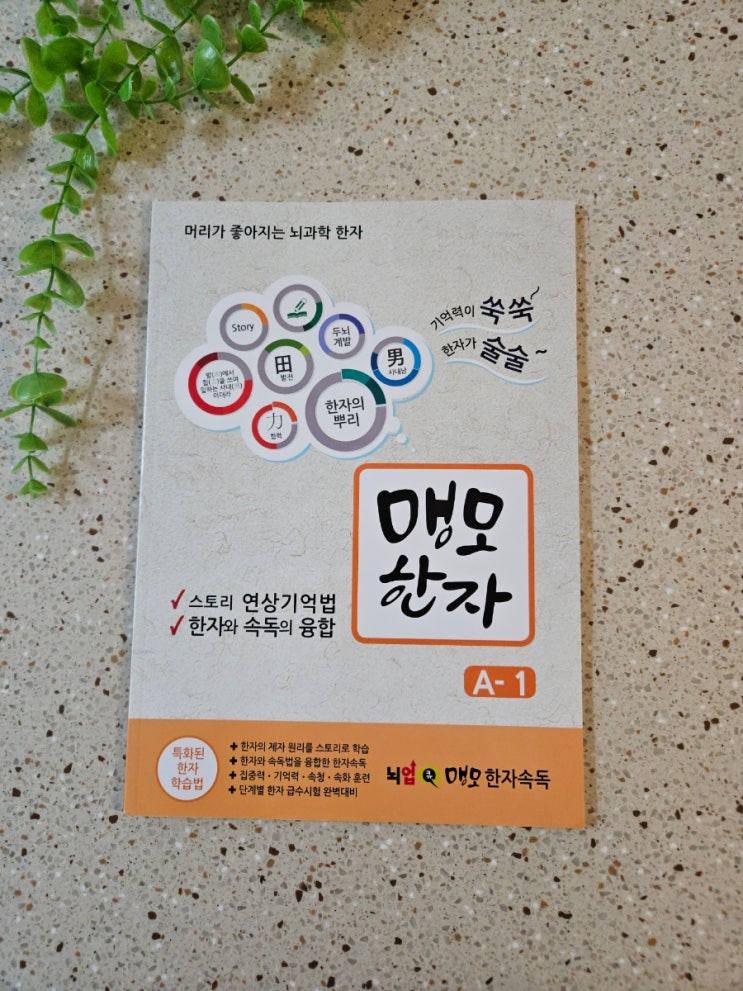  [잘 외워지는 뇌과학 맹모한자 A단계] 즐겁게 학습하는 어린이 한자공부책