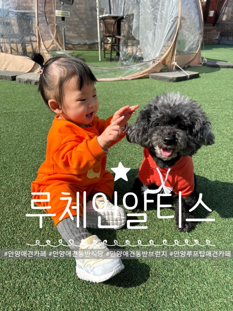 사진 4