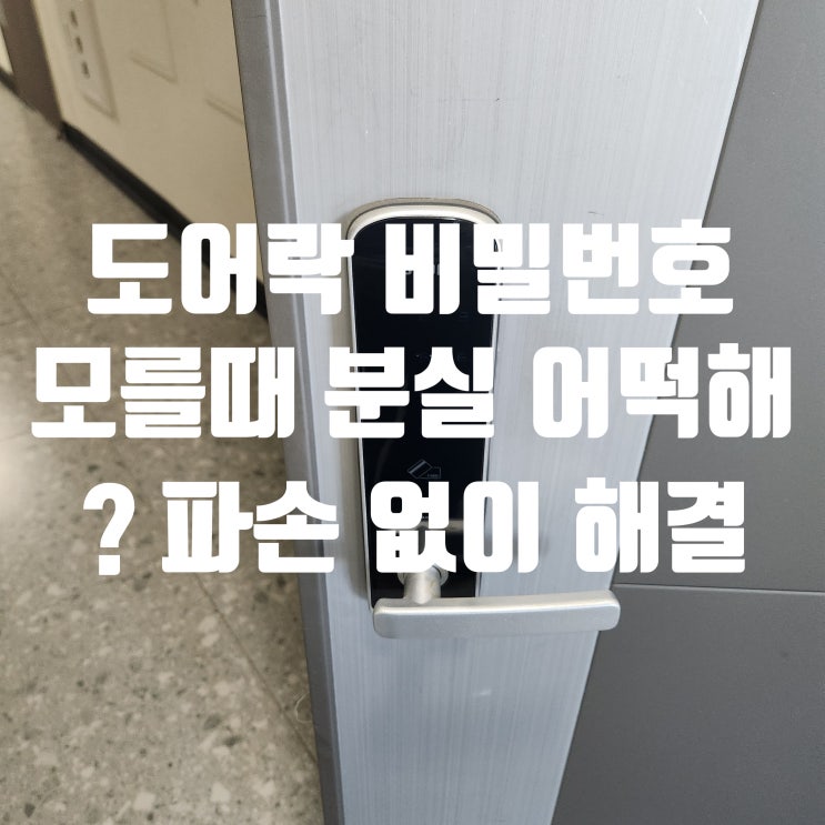  김포열쇠 도어락 비밀번호 모를때 분실 파손없이 개문 출장 전문점