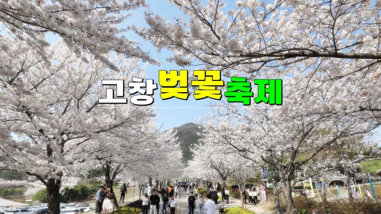 전라북도 벚꽃명소 가볼만한곳 · 2025 고창 벚꽃축제 기본정보 개화시기 초대가수 전라북도 벚꽃명소 가볼만한곳 · 2025 고창 벚꽃축제 기본정보 개화시기 초대가수