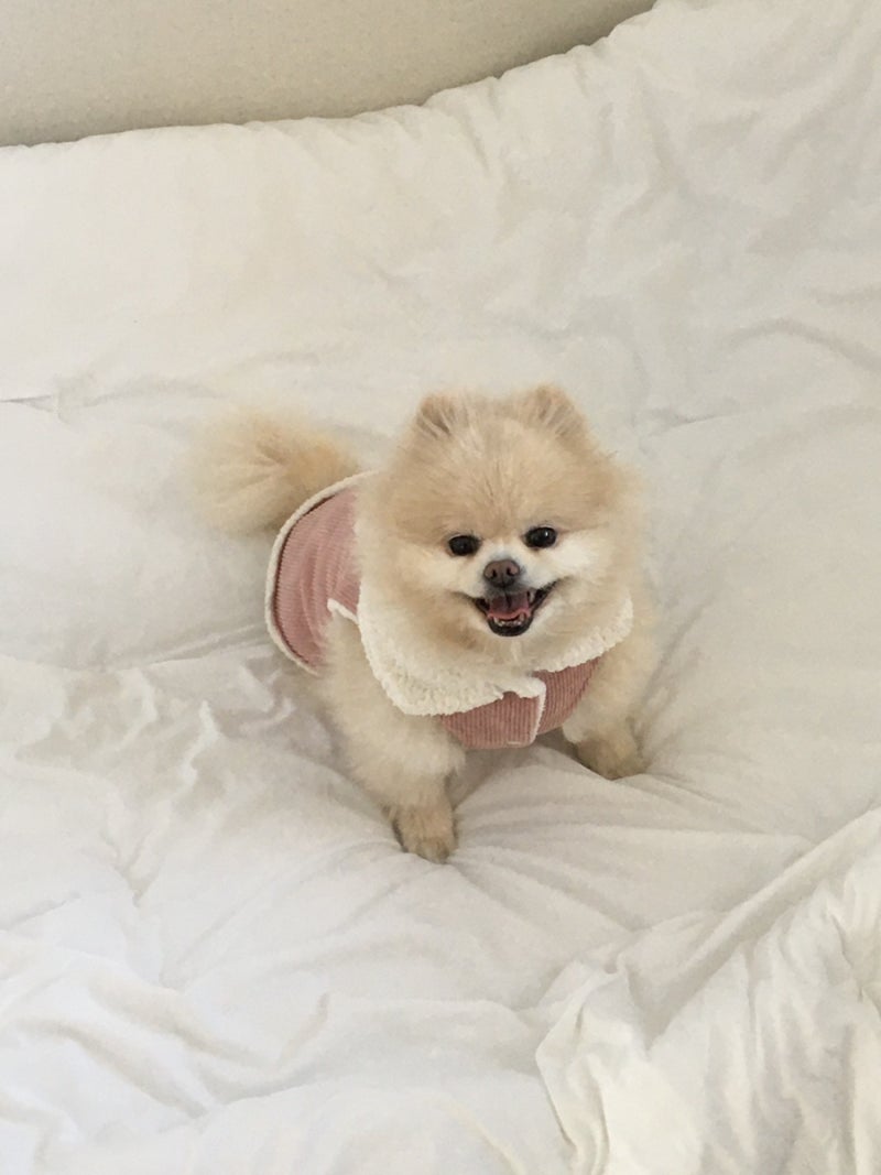 사진 3