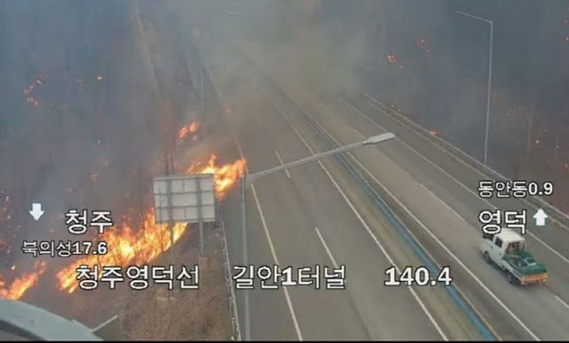  "차 타고 산불 대피하다" 불탄 여성 시신...후진·역주행 '아비규환'