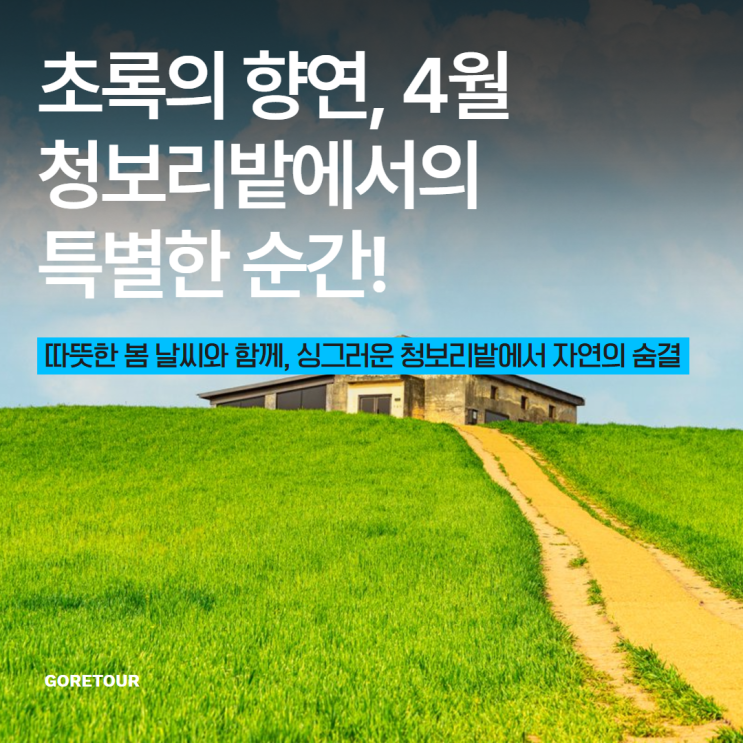  초록의 향연, 4월 청보리밭에서의 특별한 순간!