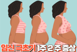  임신극초기 증상 1주2주- 감정.생활.신체의 미묘한 변화들