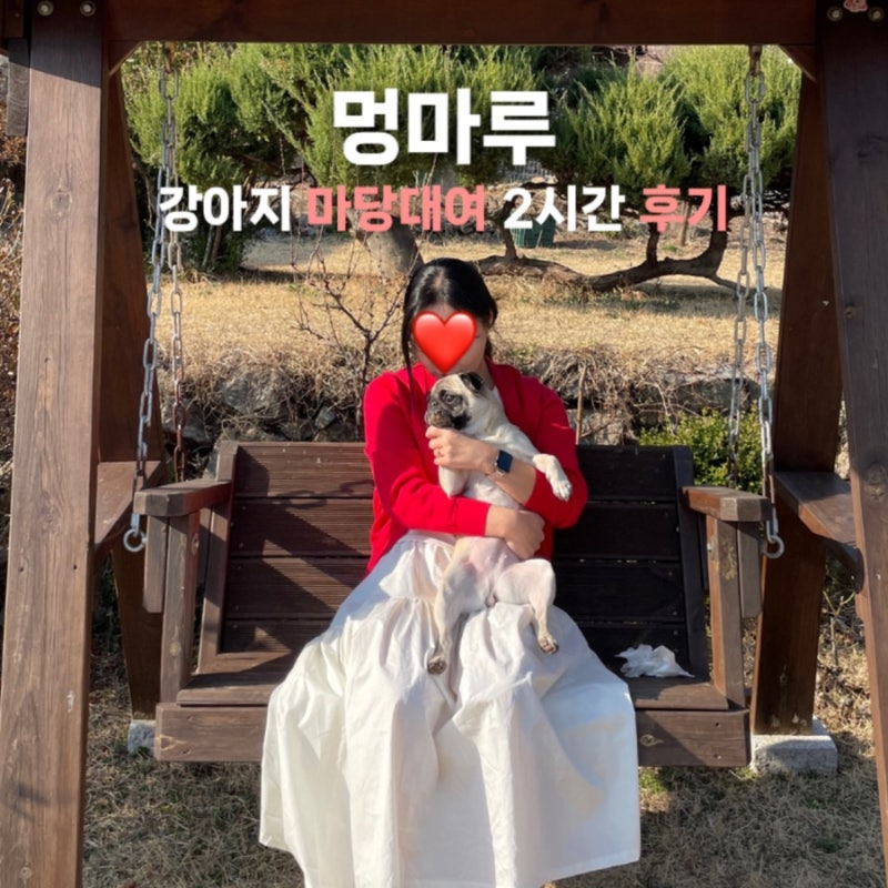사진 5