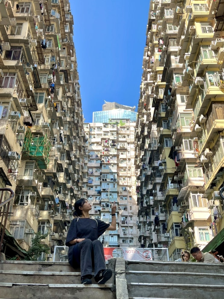  4박 5일 홍콩여행3일차 홍콩 토마토라면 맛집 와록카페 홍콩 카페 하프웨이커피 익청빌딩 주방용품거리 파인애플번 레드티 홍콩 쇼핑몰 K11뮤제아 퍼시픽피그젤리