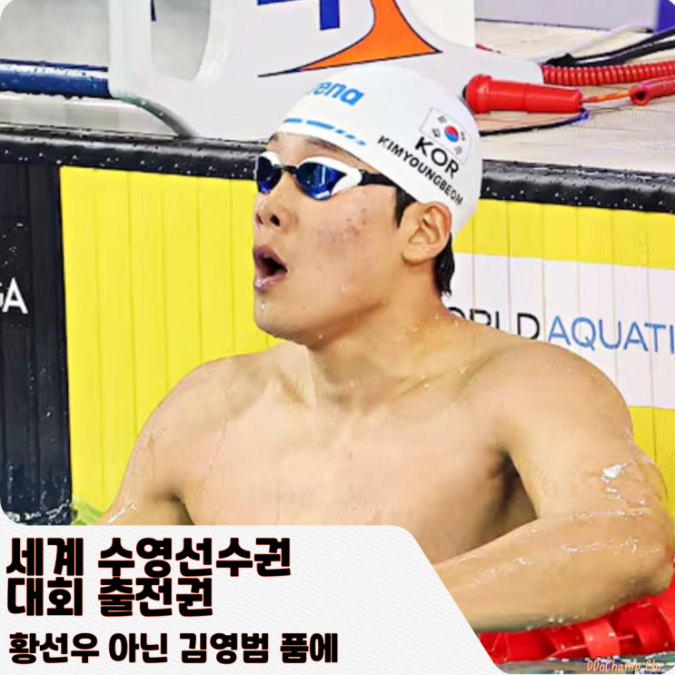 세계 수영선수권 대회 출전권, <b>황선우</b> 아닌 <b>김영범</b> 품에