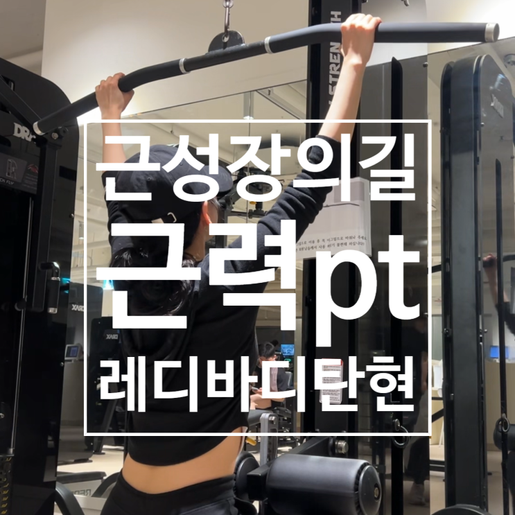  탄현 헬스 근육량 늘려늘려 날씬탄탄몸 pt후기