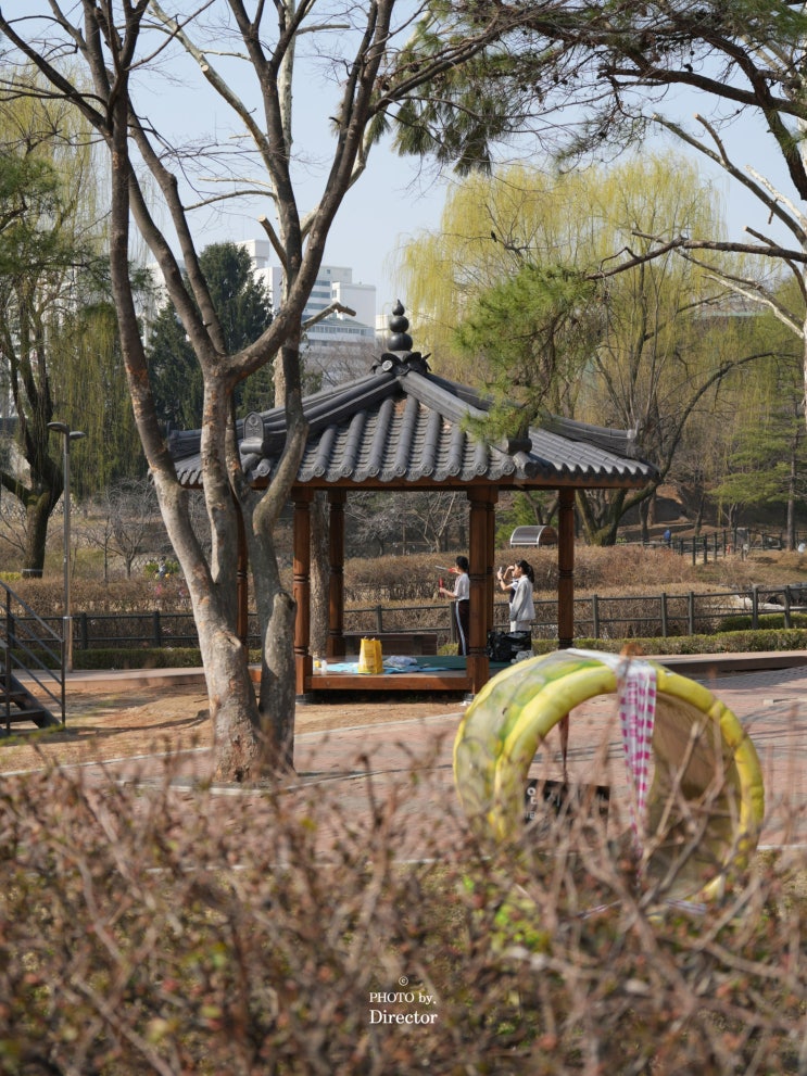  용산가족공원 주차 '가능할까?' 서울 피크닉 명소 완벽 정리