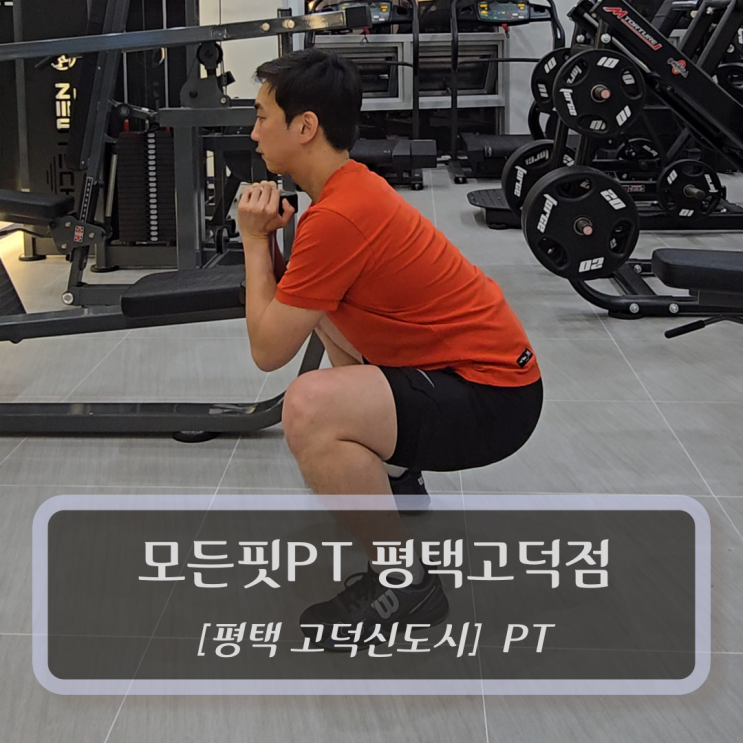  평택PT :: 모든핏PT 평택고덕점 - 고덕신도시헬스장