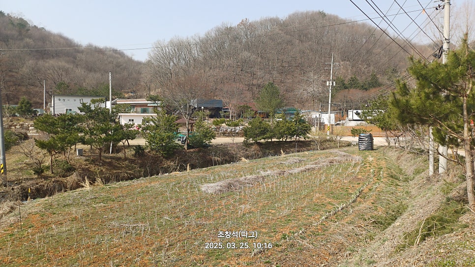 가장골 사진 6