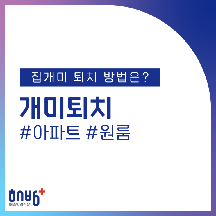  해방플러스 개미퇴치 아파트 원룸 집개미퇴치약