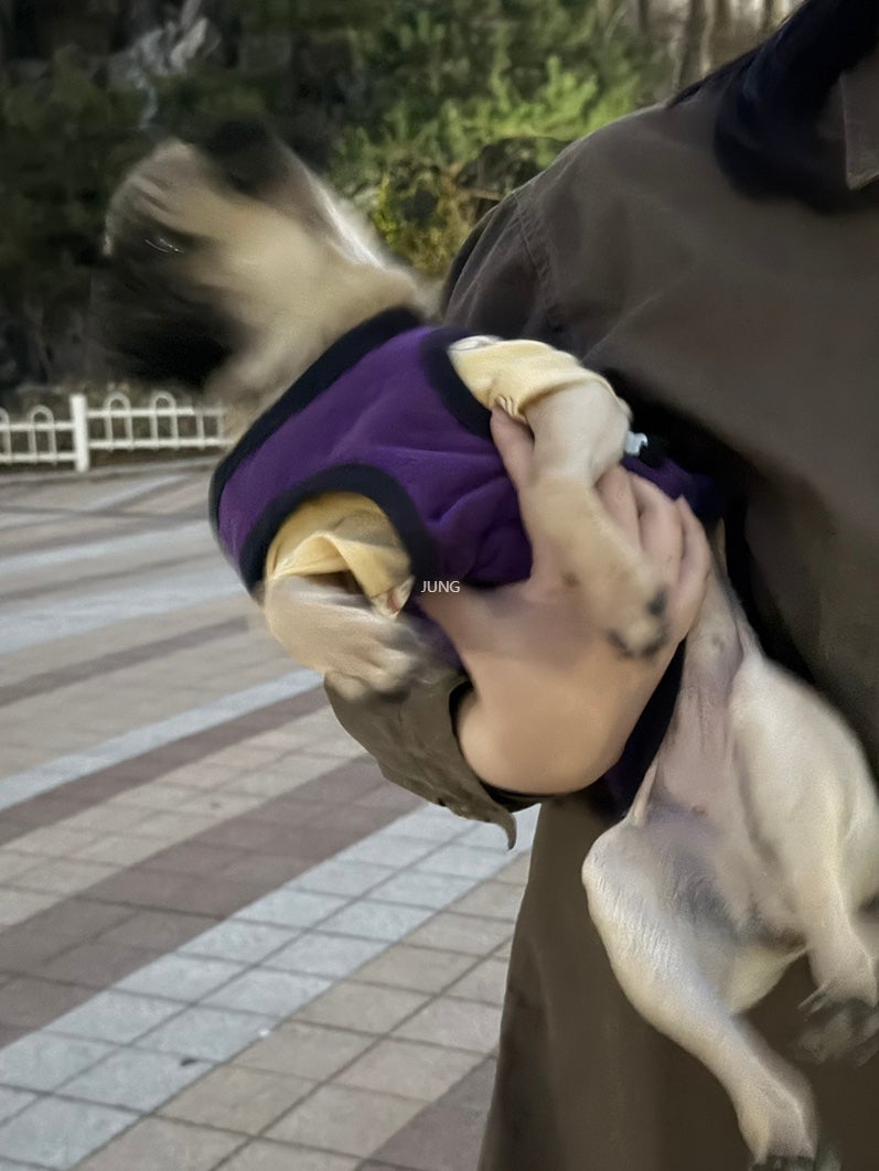 사진 3