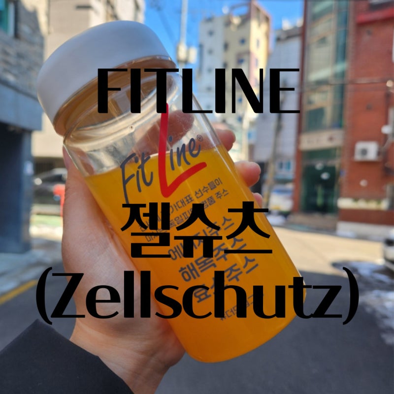 독일피엠 피트라인 젤슈츠의 모든것!