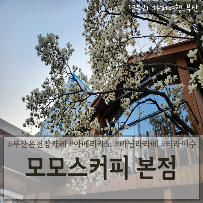  부산온천장카페 부산핫플카페 부산블루리본카페 '모모스커피 본점'