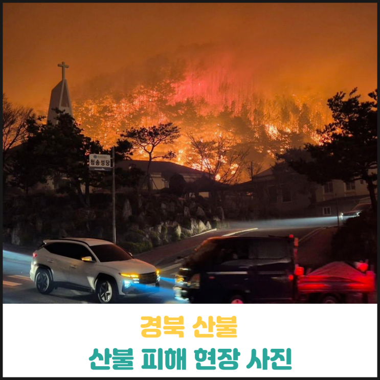 경북 산불 피해 현장 상황 모음 경북 산불 피해 현장 상황 모음