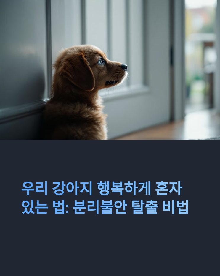  우리 강아지 행복하게 혼자 있는 법: 전문가가 알려주는 분리불안 탈출 비법