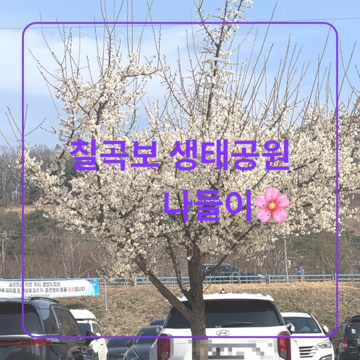  [여행] 칠곡군 칠곡보 생태공원 나들이
