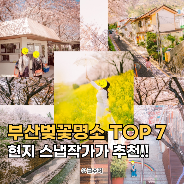  현지 스냅작가가 추천하는 부산 벚꽃 명소 TOP 7