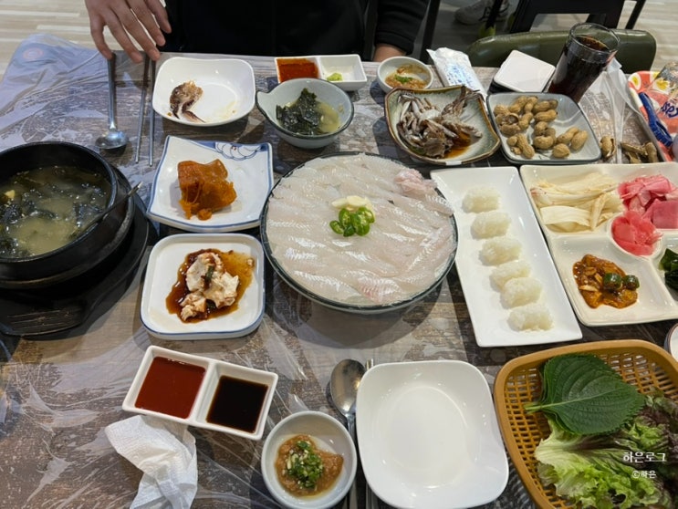  대구 월성동 맛집 맛있는 자연산 회 정통 횟집 동해횟집