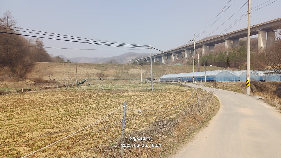 가장골 사진 3