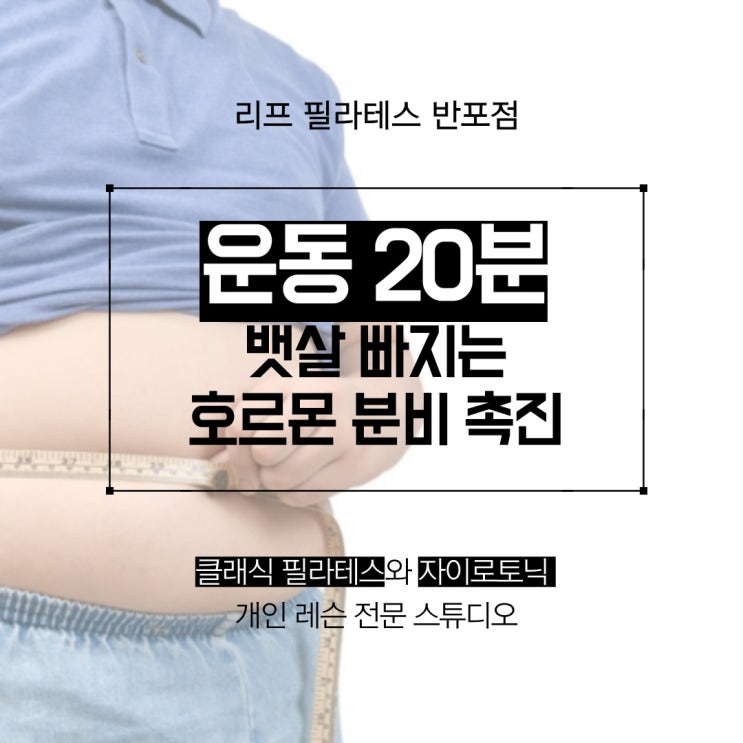  [서래마을 필라테스] 뱃살 빠지는 호르몬/ 반포필라테스 리프