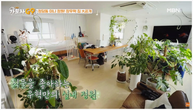  신랑수업 156회 장우혁 식물 집 최초공개 치약활용법 역대급 알뜰 신입생 등판