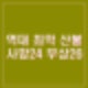 역대 최악 산불 헬기 추락 등 24명 사망 부상 26명 산불 재난