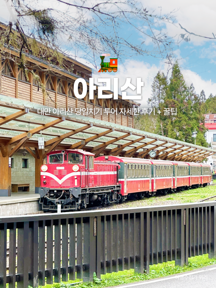  대만 아리산 일일투어 솔직 후기｜자유여행 vs 투어 비교 + 꿀팁 총정리