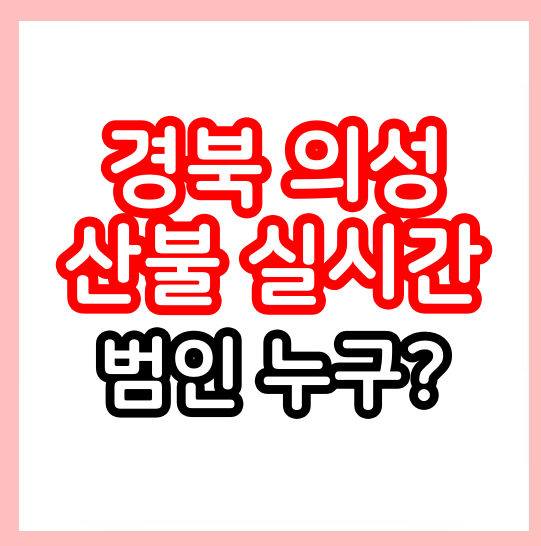 경북 의성 <b>산불</b> 원인 위치 상황... 안동, 영덕, <b>영양</b>, <b>청송</b>, 대구)