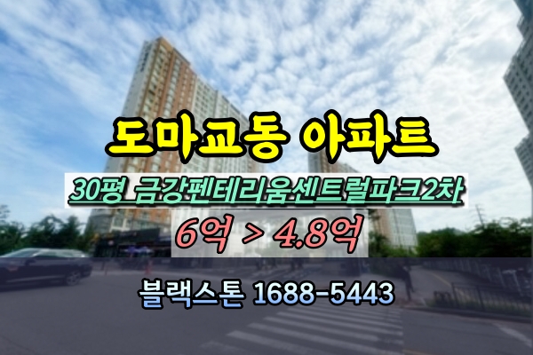  도마교동아파트 경매 금강펜테리움센트럴파크2차 30평