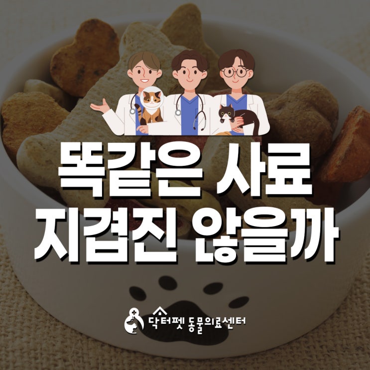  강아지들 똑같은 사료 먹으면 질리지 않을까요 (부산 연중무휴 야간진료 동물병원 닥터펫동물의료센터)