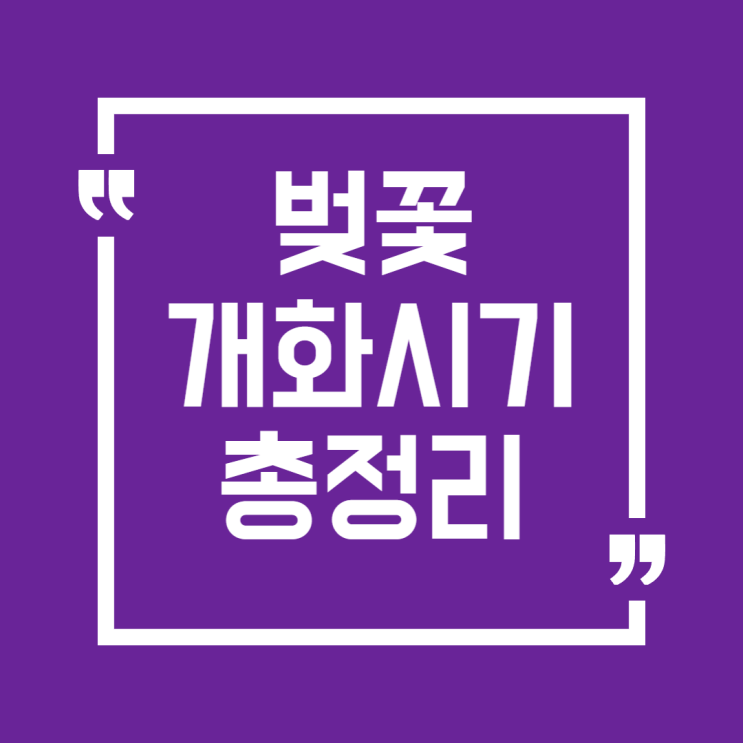  2025 벚꽃 개화 시기 총정리! 지역별 명소까지 싹~ 안내드려요