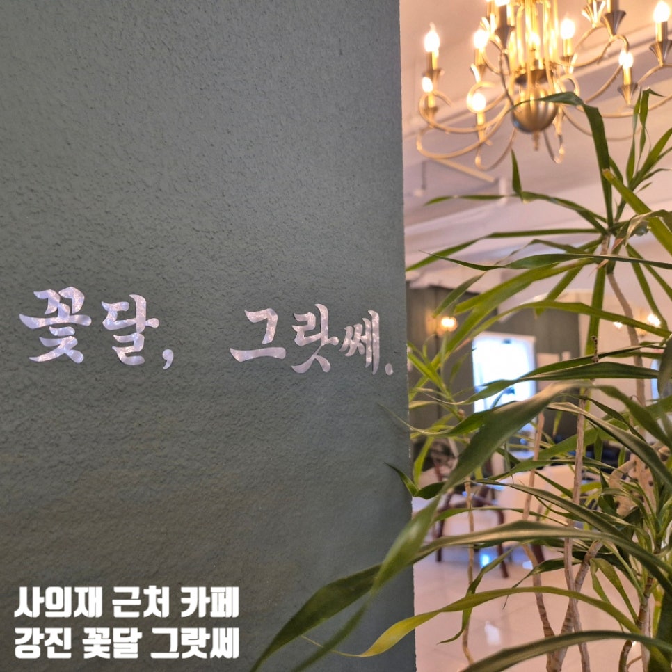 꽃달그랏쎄 사진 1