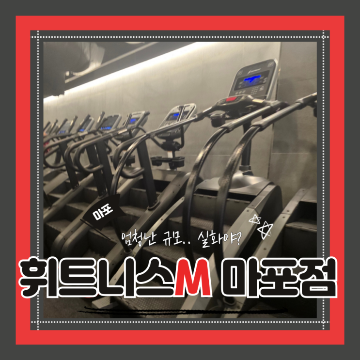 (마포역헬스장) 공덕마포직장인헬스장추천 골프가능 천평대규모헬스장 휘트니스엠 마포역