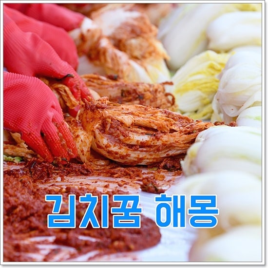 김치꿈 해몽 동치미꿈 총각김치꿈 독특한 풀이
