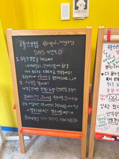 사진 5